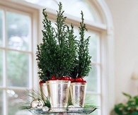 Holiday party decor