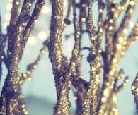 Glittery branches