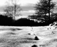 Snowy footprints