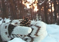 Pine cone love