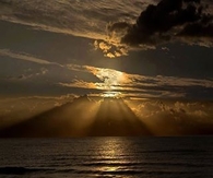 Golden Glory!!
