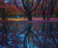 Reflections Of Autumn In Japan!! 