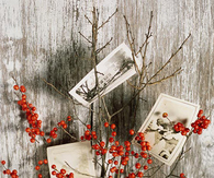 Holiday photo display