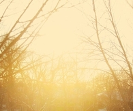 Together in the sunlight