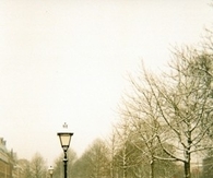 The long cold winter