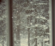 The snowy window