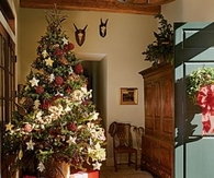 Home for Christmas