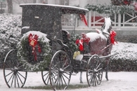 Winter carriage
