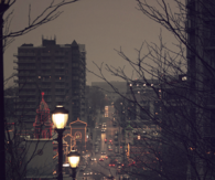 Christmas lights