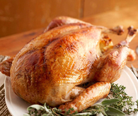 Thanksgiving turkey