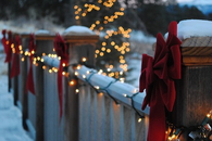 White Christmas lights
