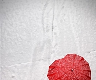 Heart umbrella 