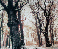 Snowy trees