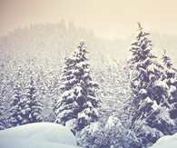Picture perfect winter scene