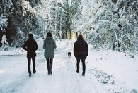 On the snowy path