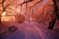 Colorful winter day
