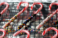 Chocolate Dipped Candy Canes