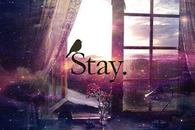 Stay