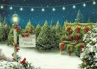 Christmas trees and wreaths