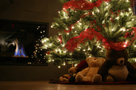 Bears under the christmas tree