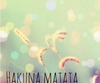 Hakuna Matata