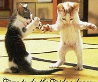 Time to do the friday dance