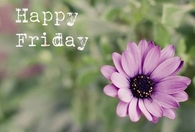 Happy Friday