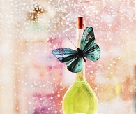 Butterfly bokeh