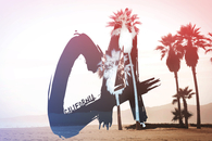 California palm trees