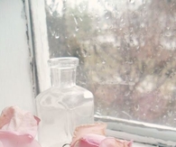 Pink flowers and raindrops