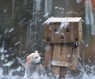 Rainy day Danbo