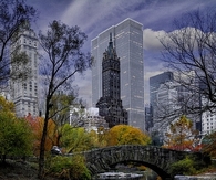 Central Park view