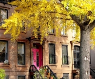 Brooklyn in Autumn