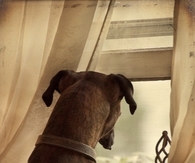 Waiting for master