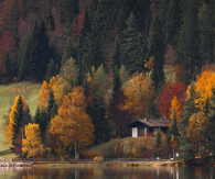 Colors of Autumn