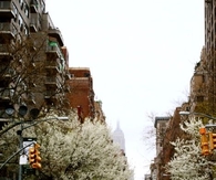 Wet day in the city