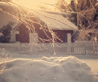 Snowy morning