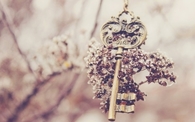 Brass key