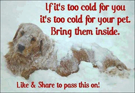 bring your pets inside
