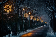 Starry lights