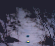 Path of tealight candles