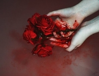 Bloody roses