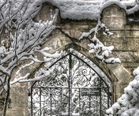 Snow covered gate