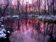Purple lake