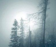 Cold misty haze
