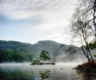 A misty fog