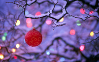 Single christmas ornament