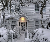 Snowy winter
