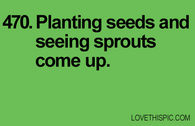470-planting-seeds