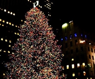 Outdoor christmas tree in the city